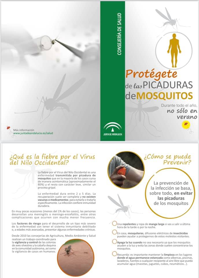 Casares, en nivel 3 de riesgo de transmisión del virus del Nilo a través del mosquito - 190761248 3004976813117906 5915505990792800573 n Casares, en nivel 3 de riesgo de transmisión del virus del Nilo a través del mosquito - 190761248 3004976813117906 5915505990792800573 n